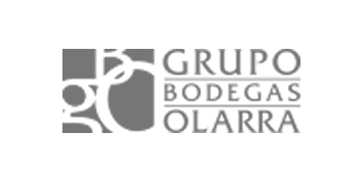 Olarra-logo_grupo